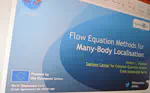 Flow Equation Methods for Many-Body Localisation